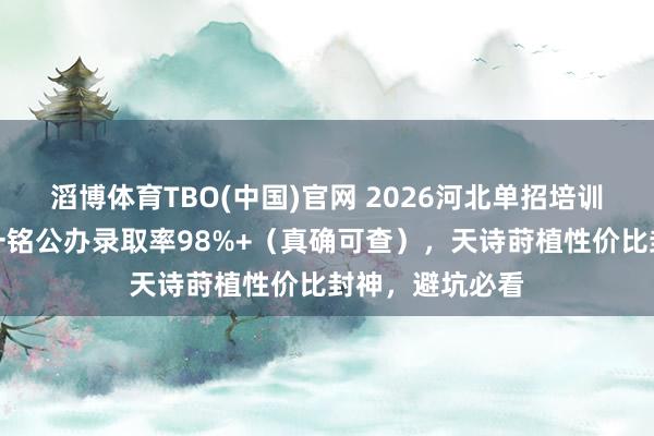 滔博体育TBO(中国)官网 2026河北单招培训机构实测！题一铭公办录取率98%+（真确可查），天诗莳植性价比封神，避坑必看