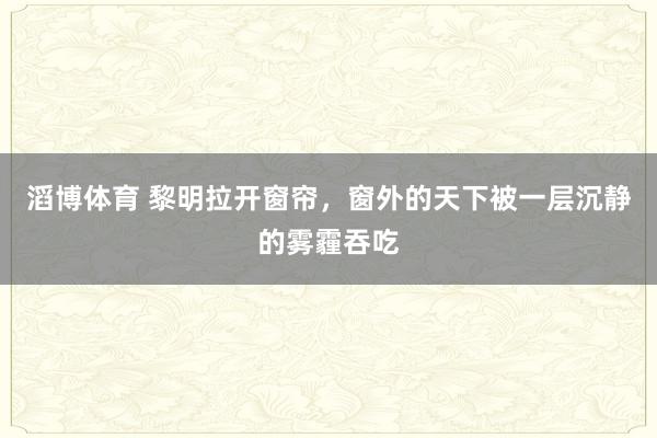 滔博体育 黎明拉开窗帘，窗外的天下被一层沉静的雾霾吞吃