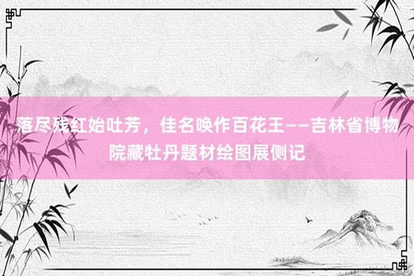 落尽残红始吐芳，佳名唤作百花王——吉林省博物院藏牡丹题材绘图展侧记