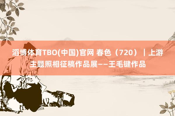 滔博体育TBO(中国)官网 春色（720）｜上游主题照相征稿作品展——王毛键作品