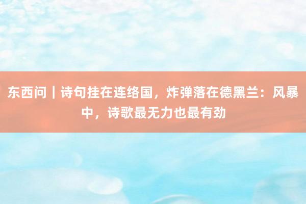 东西问｜诗句挂在连络国，炸弹落在德黑兰：风暴中，诗歌最无力也最有劲
