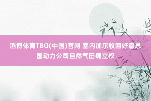 滔博体育TBO(中国)官网 塞内加尔收回好意思国动力公司自然气田确立权