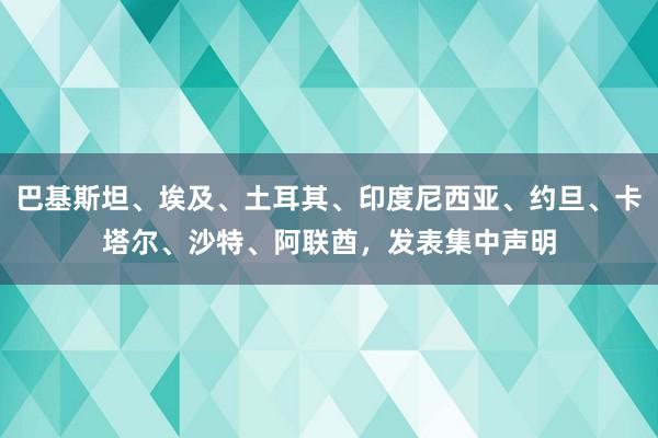 巴基斯坦、埃及、土耳其、印度尼西亚、约旦、卡塔尔、沙特、阿联酋，发表集中声明