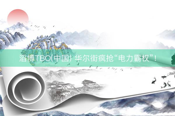 滔博TBO(中国) 华尔街疯抢“电力霸权”！